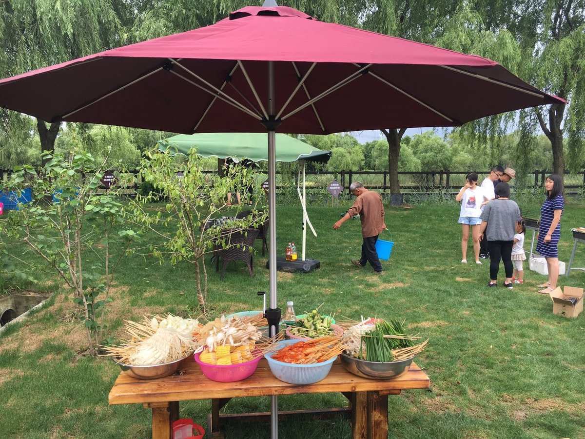 富硒构树叶茶（构树叶茶的功效与副作用）-硒宝网