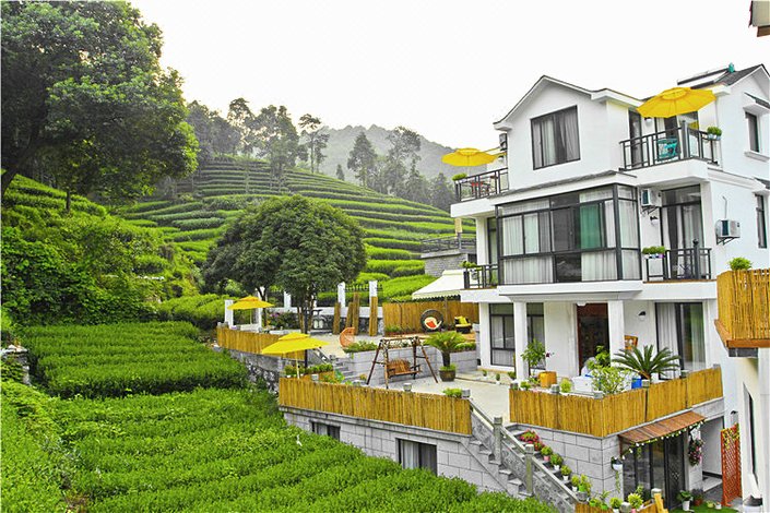 大河镇富硒茶(紫阳富硒茶的功效)-硒宝网