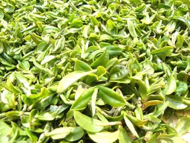 常熟富锌硒茶(锌硒茶叶)-硒宝网