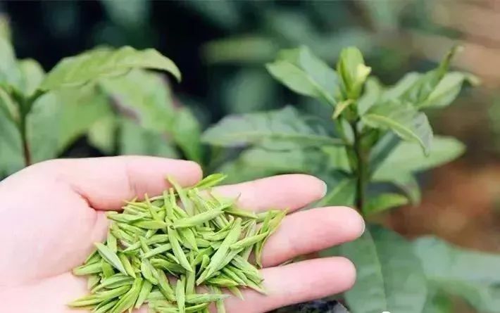 常熟富锌硒茶(锌硒茶叶)-硒宝网