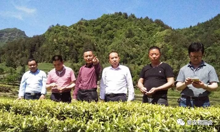 富硒茶的包装（富硒茶叶的保质期一般是多久）-硒宝网