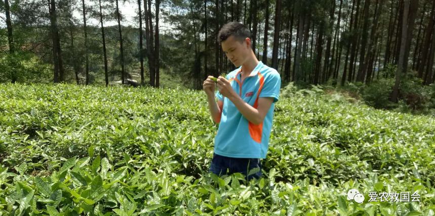 富硒茶的包装（富硒茶叶的保质期一般是多久）-硒宝网