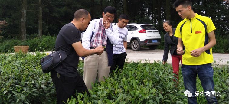 富硒茶的包装（富硒茶叶的保质期一般是多久）-硒宝网