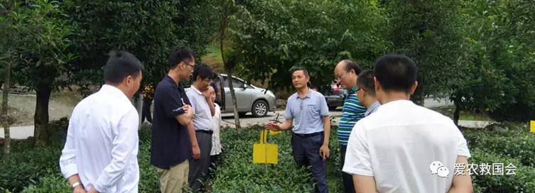 富硒茶的包装（富硒茶叶的保质期一般是多久）-硒宝网