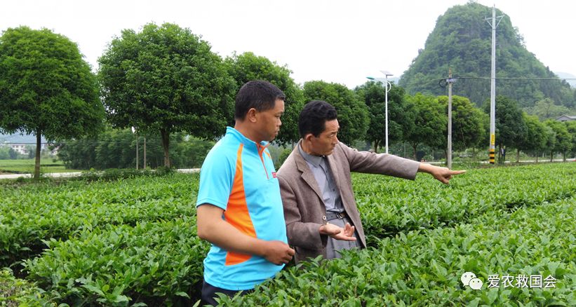 富硒茶的包装（富硒茶叶的保质期一般是多久）-硒宝网