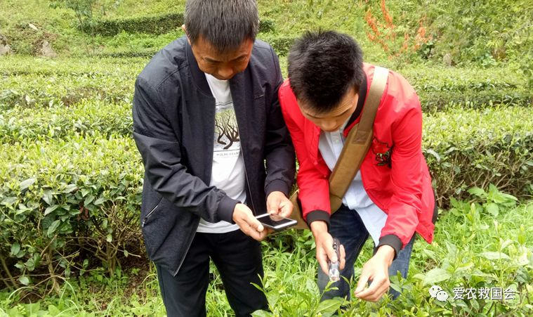 富硒茶的包装（富硒茶叶的保质期一般是多久）-硒宝网