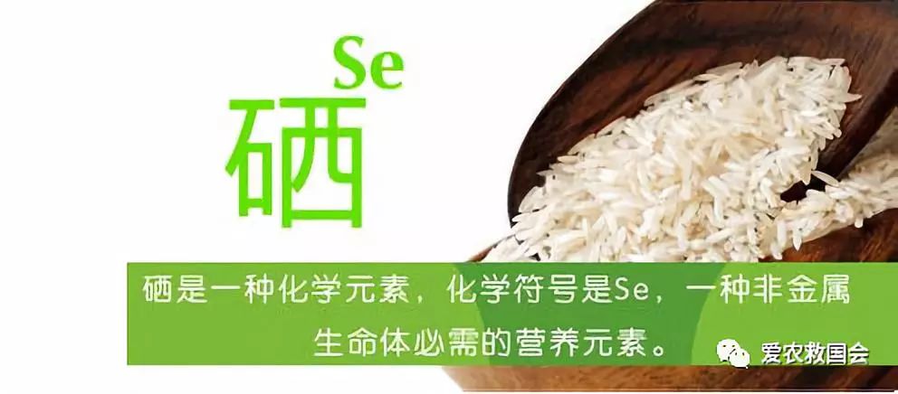 富硒茶的包装（富硒茶叶的保质期一般是多久）-硒宝网