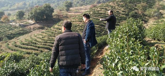 富硒茶的包装（富硒茶叶的保质期一般是多久）-硒宝网