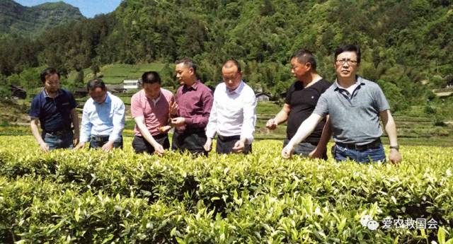 富硒茶的包装（富硒茶叶的保质期一般是多久）-硒宝网