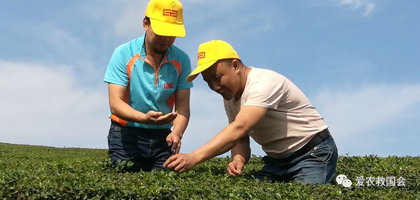 富硒茶的包装（富硒茶叶的保质期一般是多久）-硒宝网