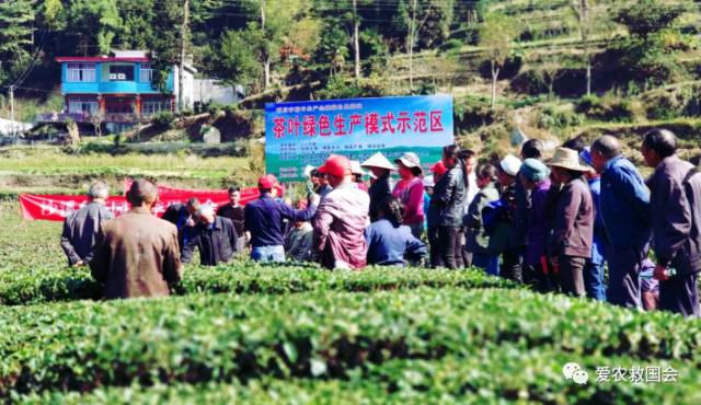 富硒茶的包装（富硒茶叶的保质期一般是多久）-硒宝网