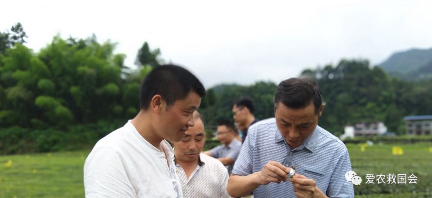 富硒茶的包装（富硒茶叶的保质期一般是多久）-硒宝网