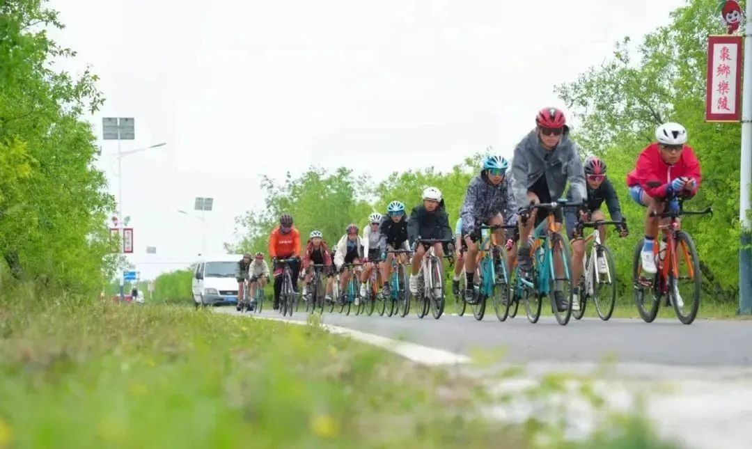 富硒骨人参茶（人参骨茶富硒含量多少）-硒宝网