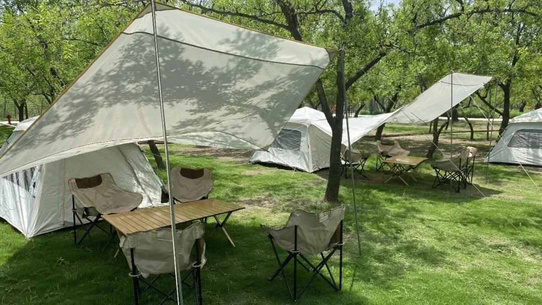 富硒骨人参茶（人参骨茶富硒含量多少）-硒宝网