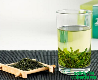 富硒茶朋友圈(富硒茶广告词)-硒宝网