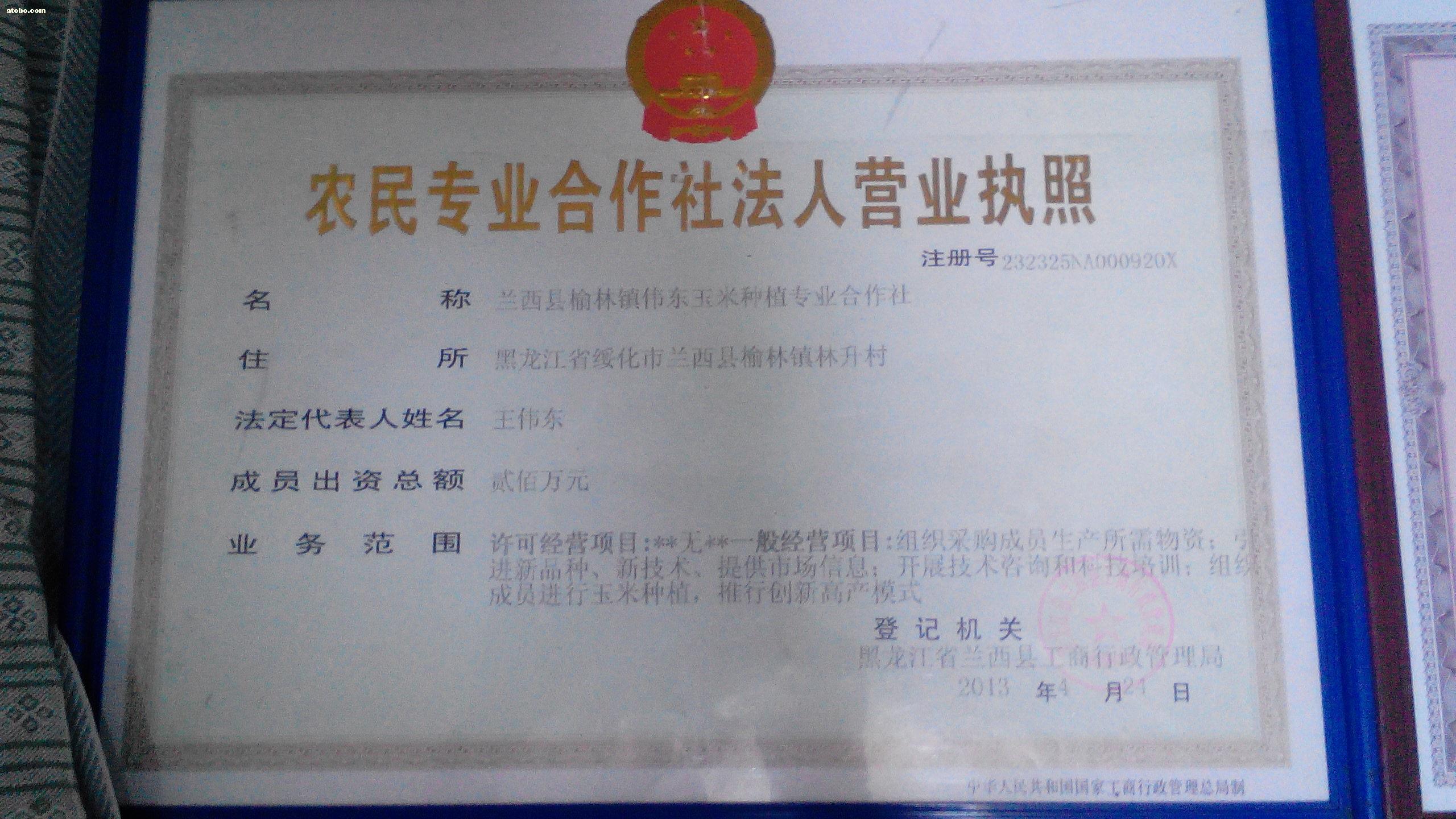 富硒构树叶茶（树叶构茶富硒含量多少）-硒宝网