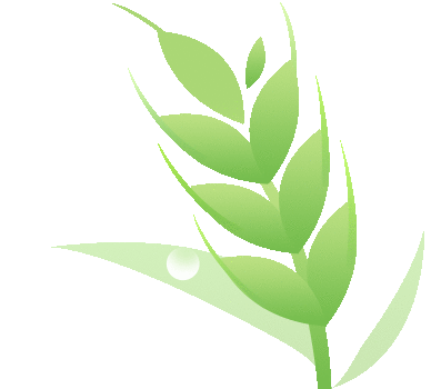 富硒茶的包装（富硒茶包装图片）-硒宝网