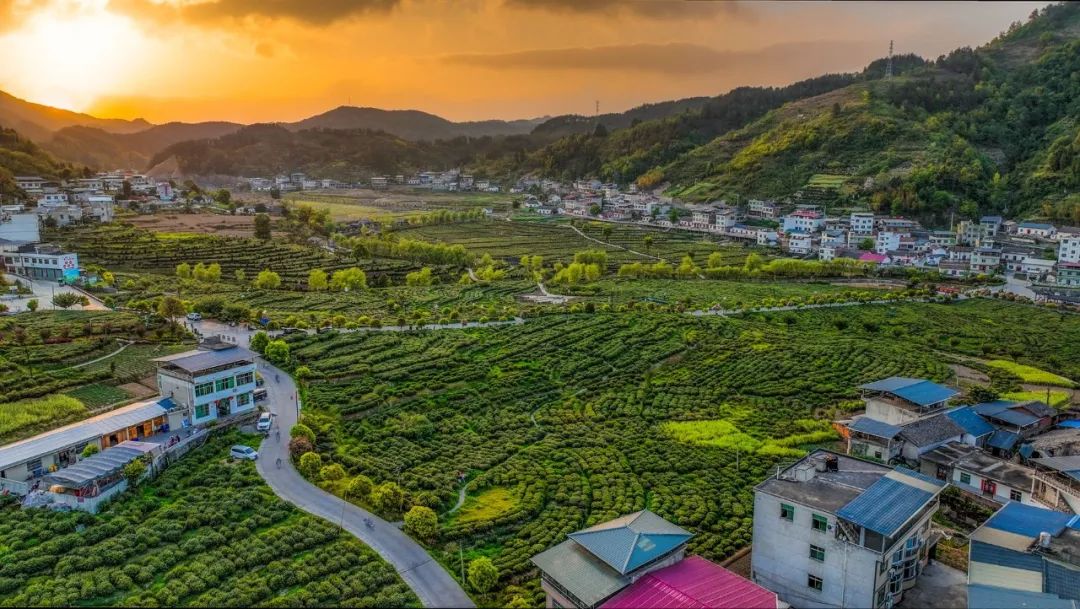 富硒茶的包装（富硒茶包装图片）-硒宝网