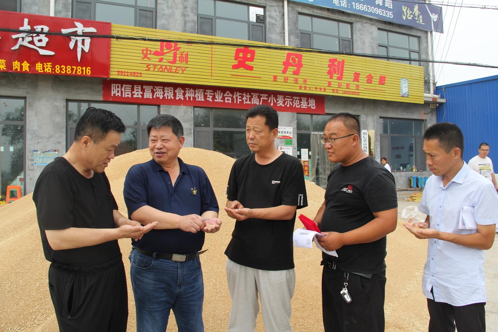 富硒茶能排铅(富硒茶有用吗)-硒宝网