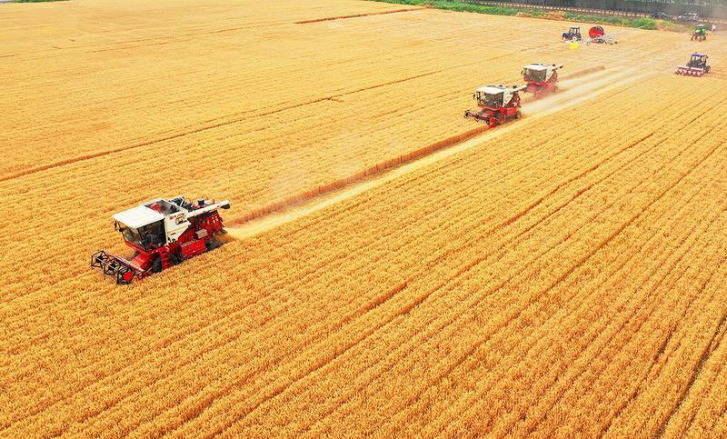 富硒茶能排铅(富硒茶有用吗)-硒宝网