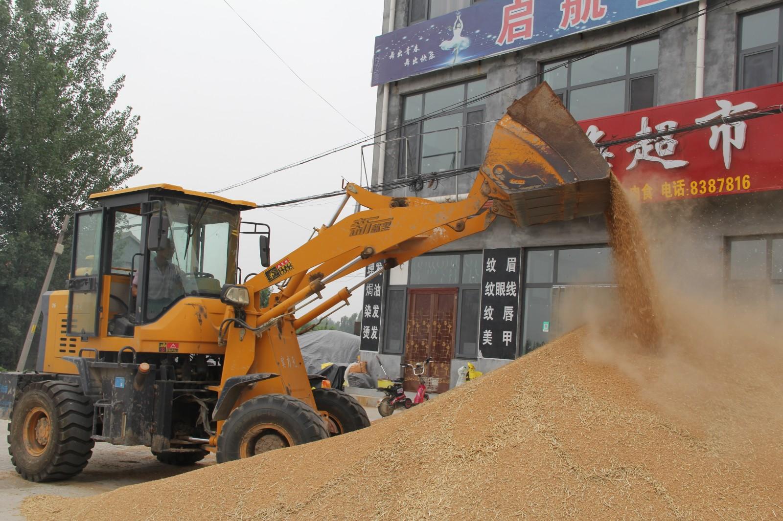 富硒茶能排铅(富硒茶有用吗)-硒宝网