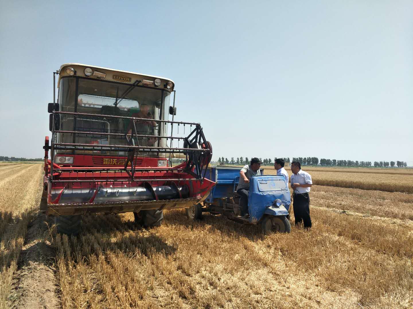 富硒茶能排铅(富硒茶有用吗)-硒宝网