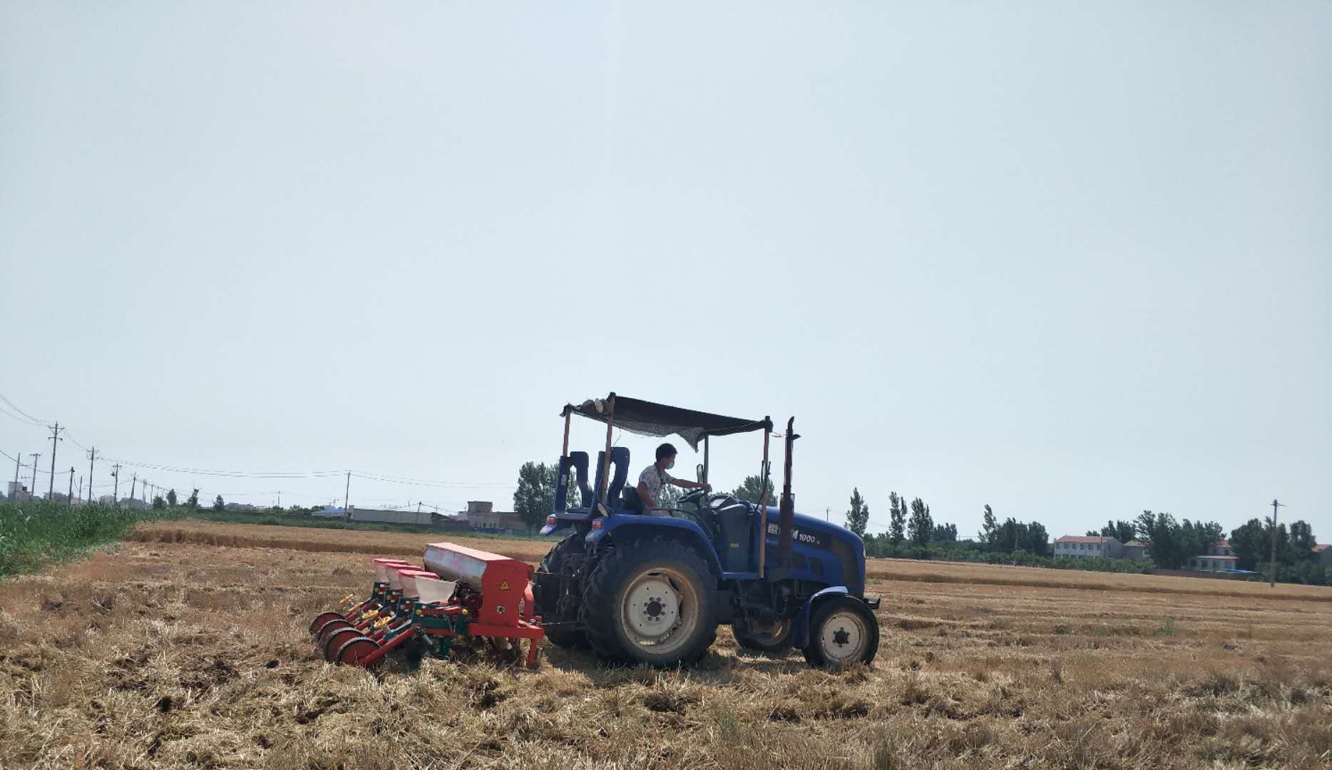 富硒茶能排铅(富硒茶有用吗)-硒宝网