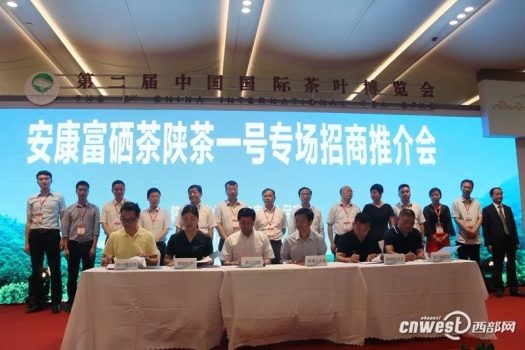 富硒茶伤胃吗(胃不好可以喝富硒茶吗)-硒宝网