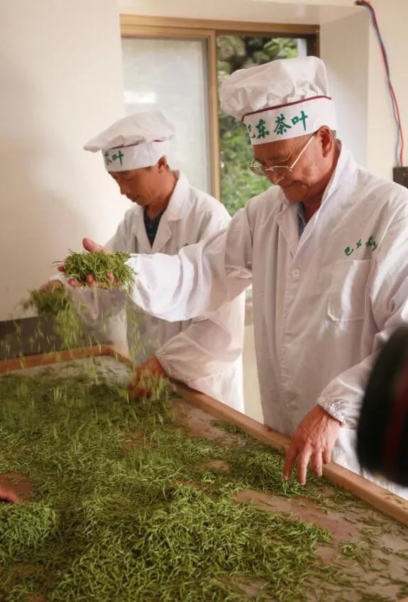 溪丘湾富硒茶（溪丘湾乡多少个村）-硒宝网