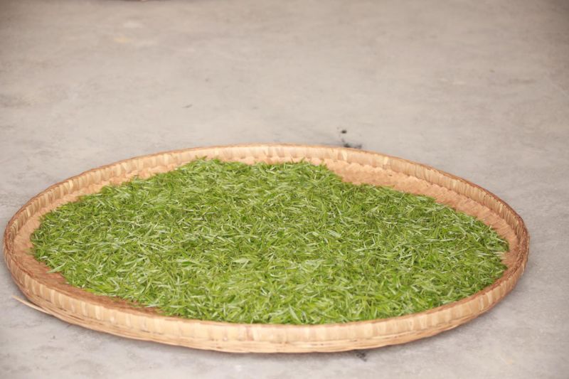 溪丘湾富硒茶（溪丘湾乡多少个村）-硒宝网