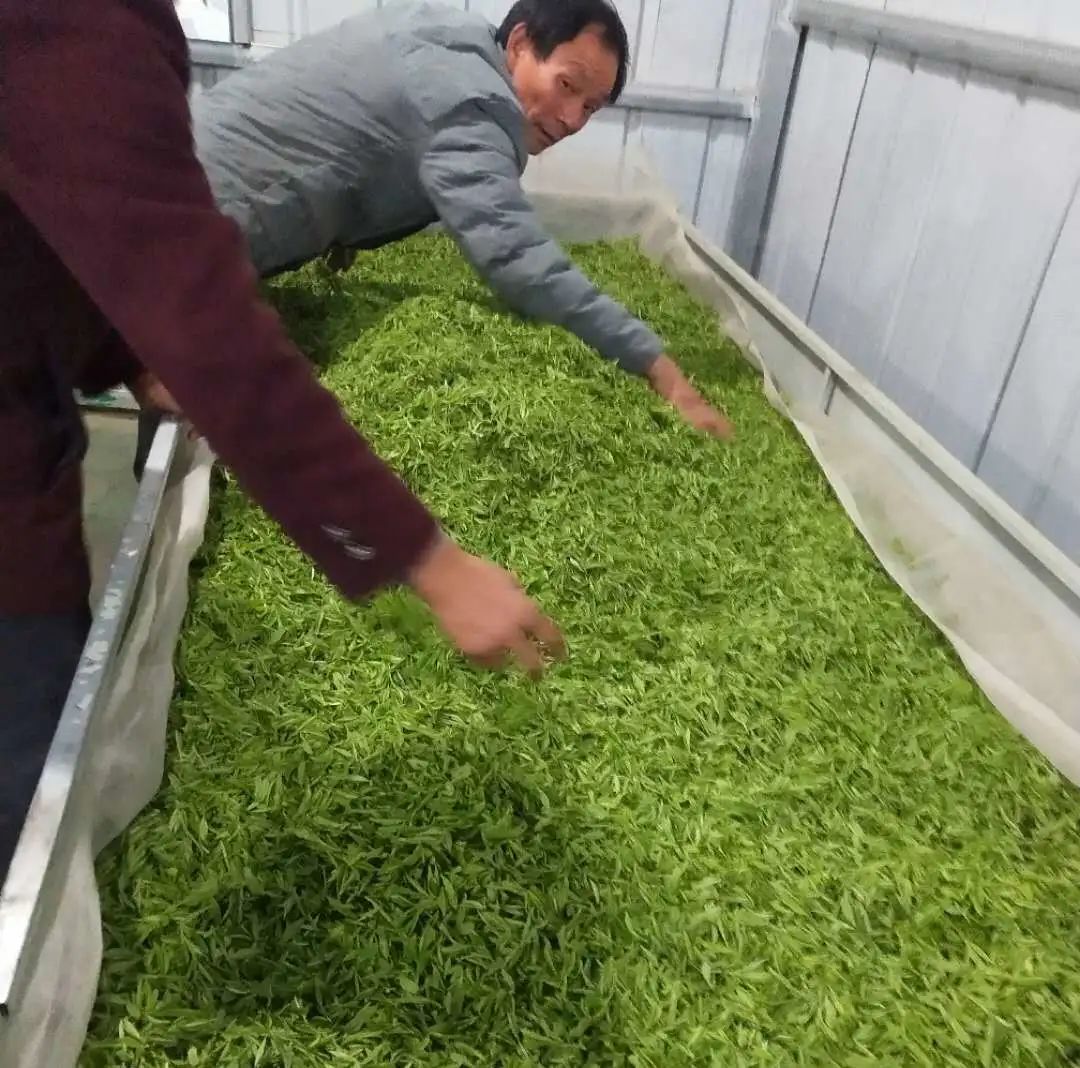 春意浓富硒茶(春浓茶业)-硒宝网