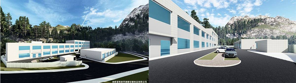 富硒华青素茶(富硒茶是什么茶)-硒宝网