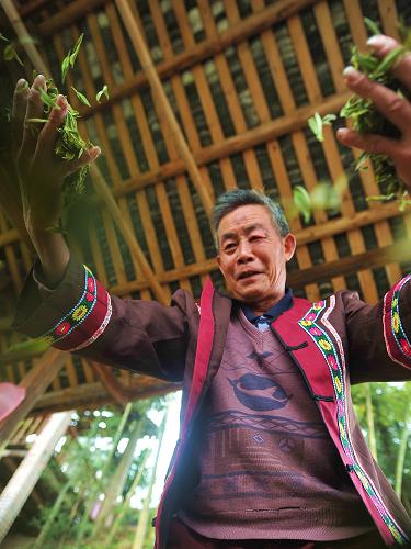 卖富硒茶主播（富硒茶贵吗）-硒宝网