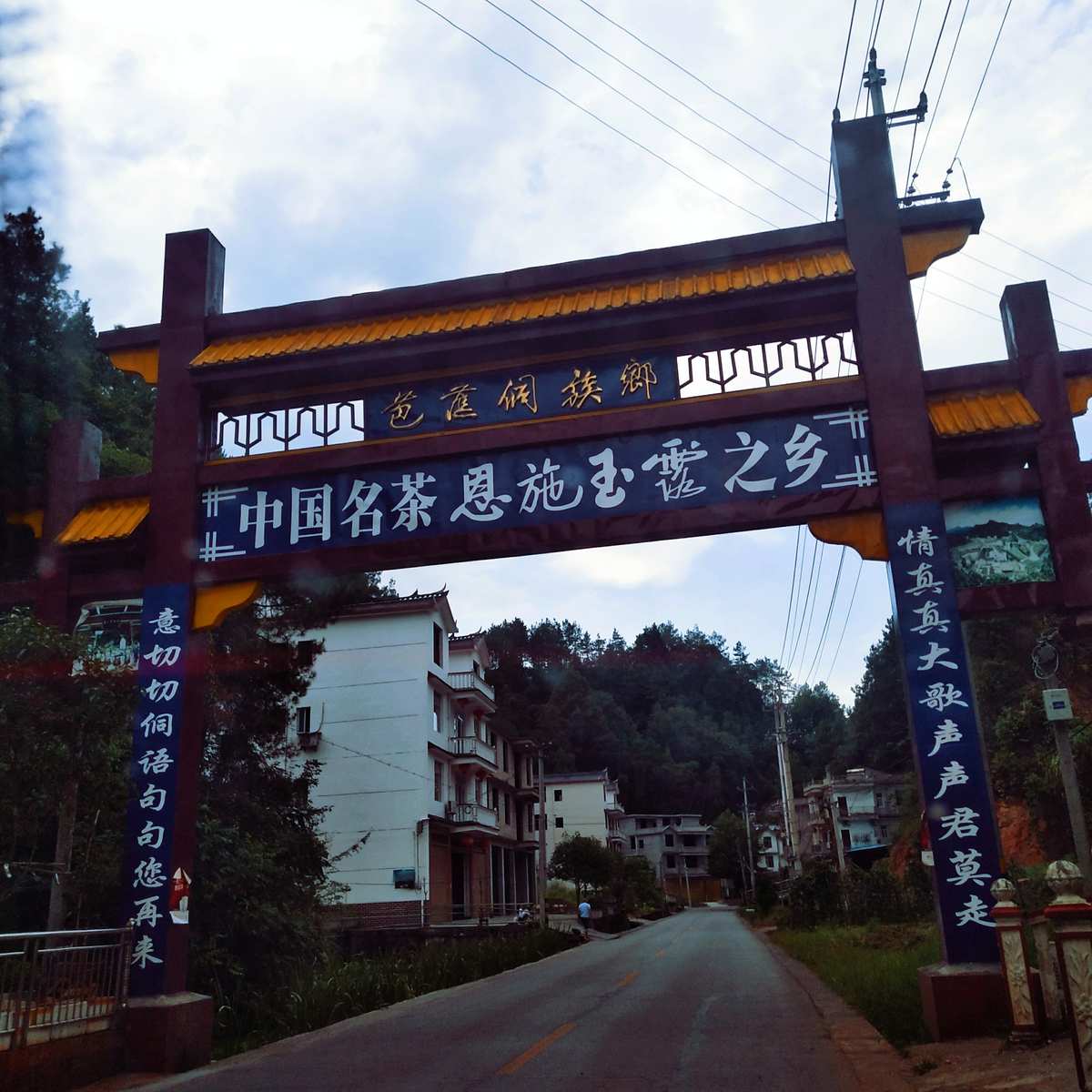 卖富硒茶主播（富硒茶贵吗）-硒宝网