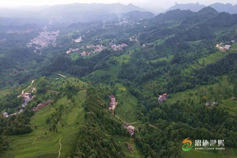卖富硒茶主播（富硒茶贵吗）-硒宝网