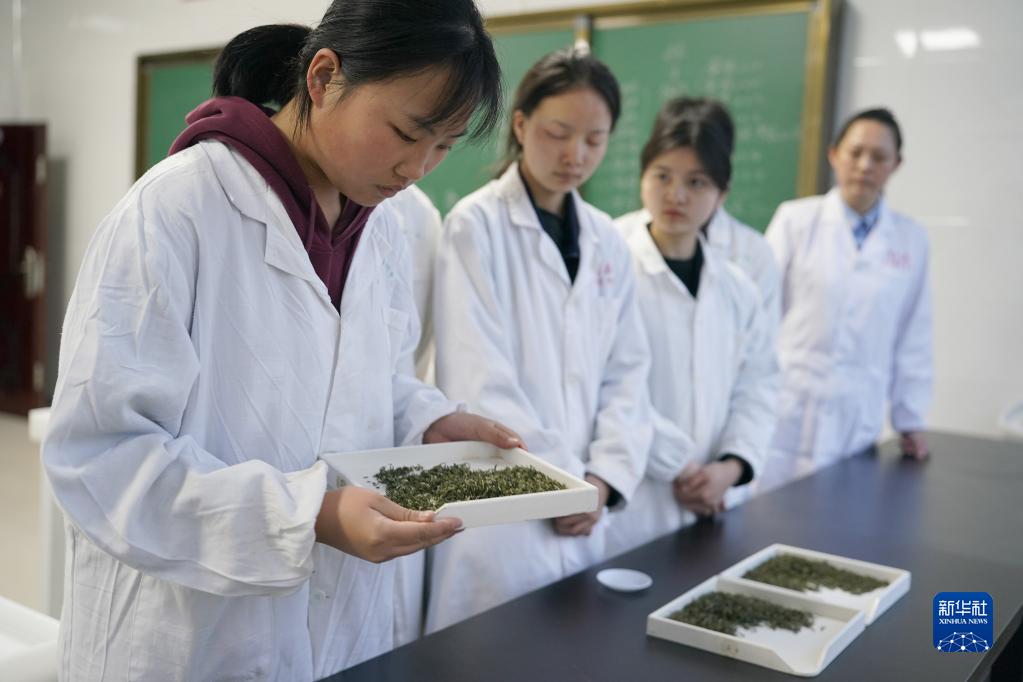 大河镇富硒茶（大河茶都）-硒宝网