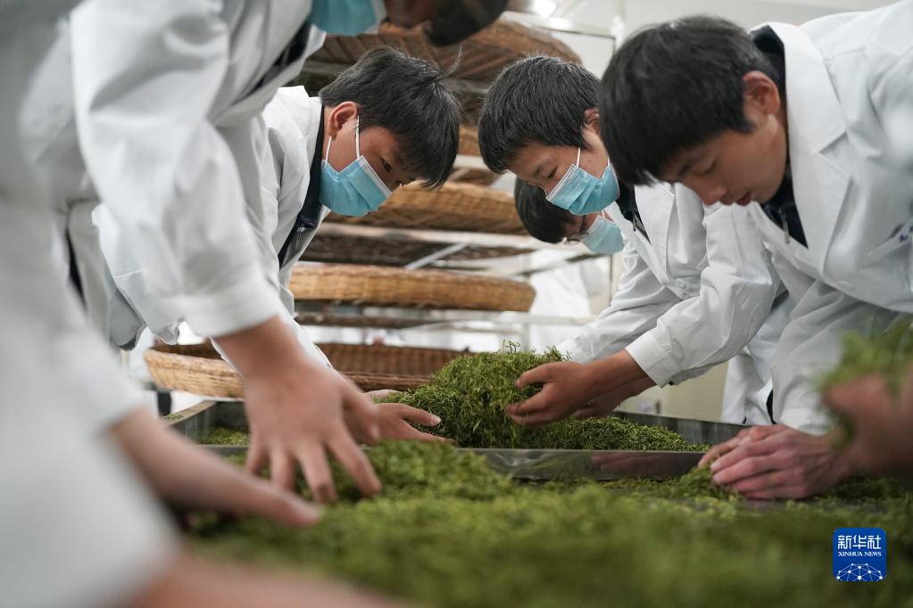 大河镇富硒茶（大河茶都）-硒宝网