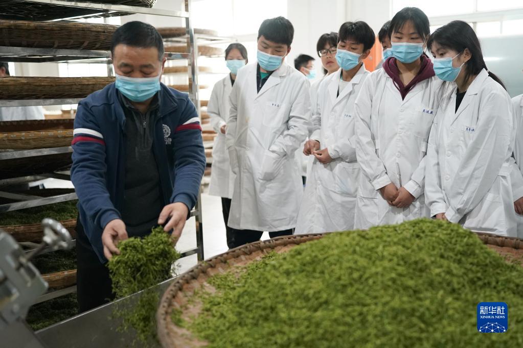 大河镇富硒茶（大河茶都）-硒宝网