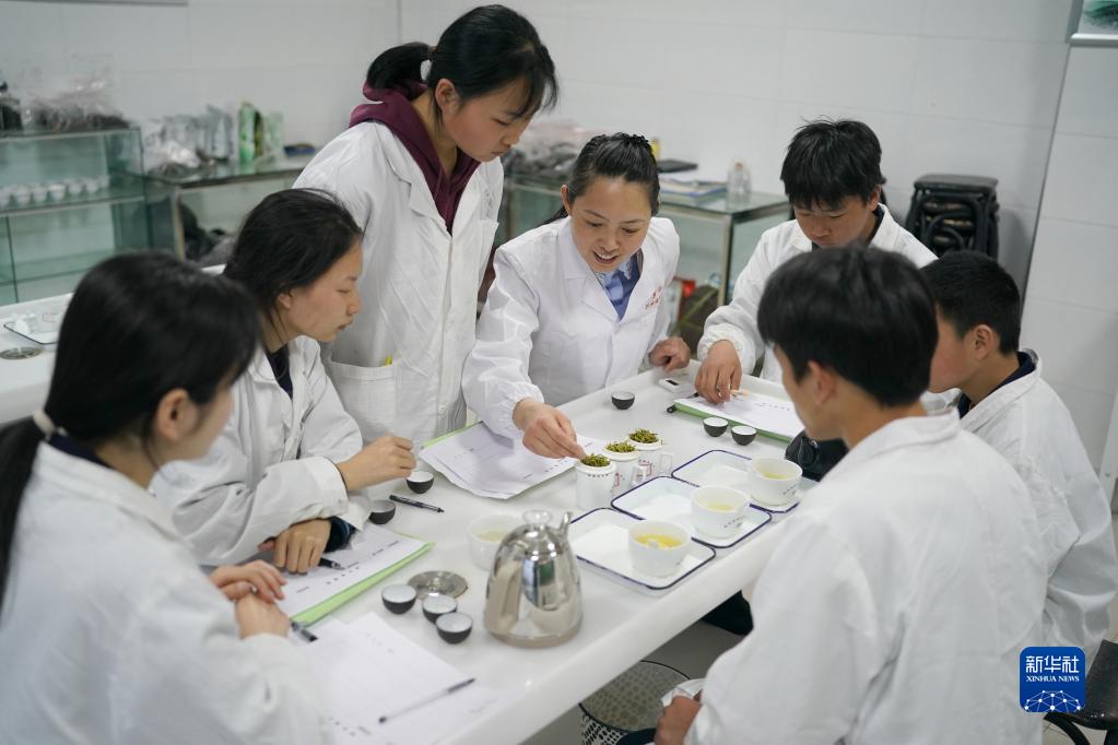 大河镇富硒茶（大河茶都）-硒宝网