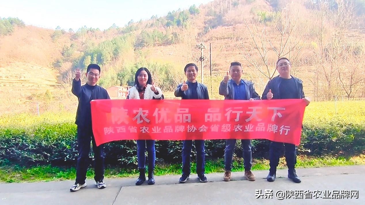 富硒茶伤胃吗(喝富硒茶)-硒宝网