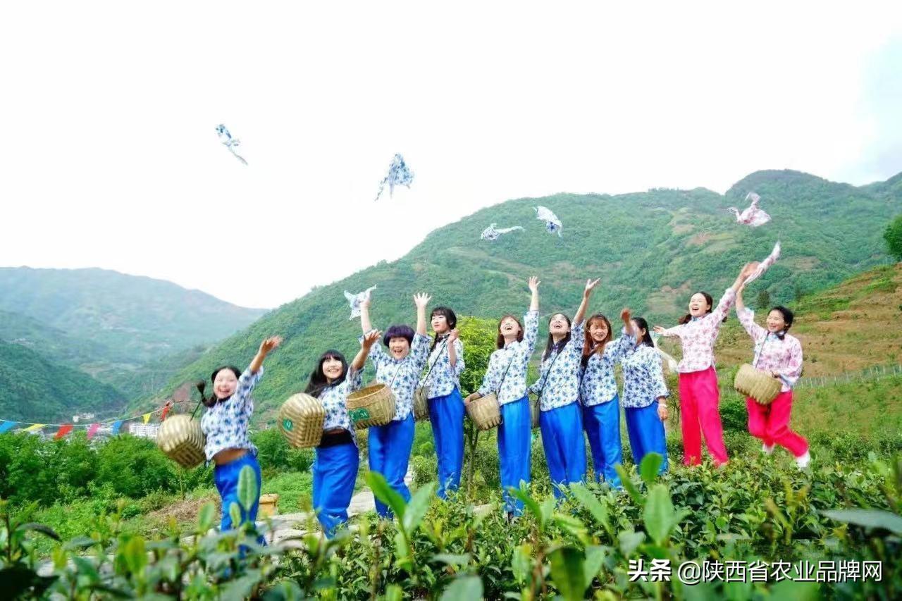 富硒茶伤胃吗(喝富硒茶)-硒宝网