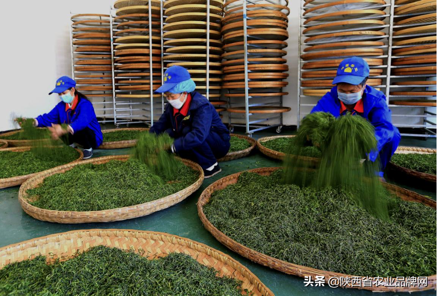 富硒茶伤胃吗(喝富硒茶)-硒宝网