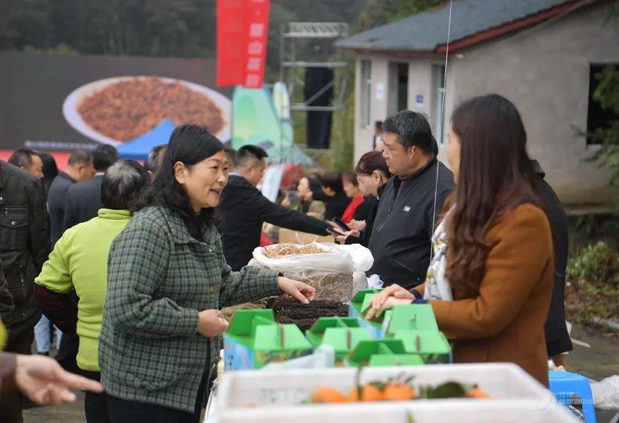 猫山富硒茶采（仙寓山富硒野茶）-硒宝网