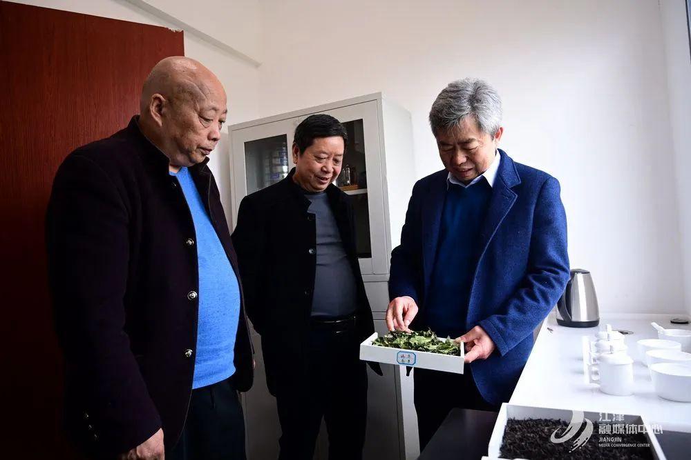 猫山富硒茶采（仙寓山富硒野茶）-硒宝网