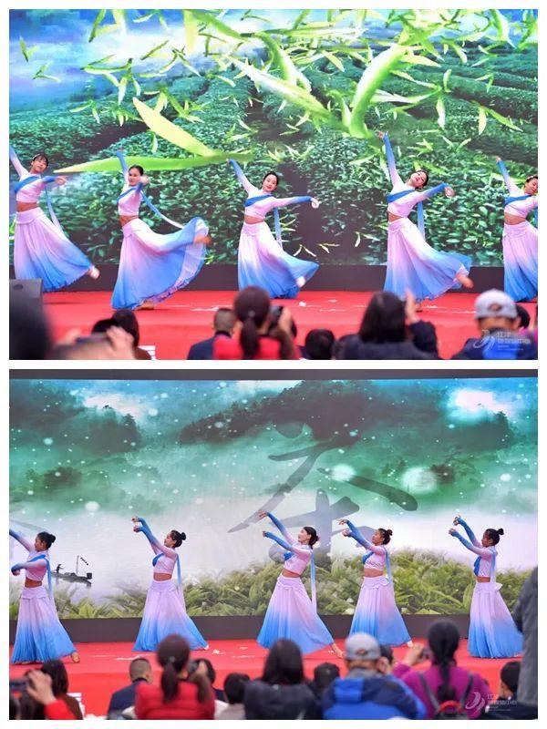 猫山富硒茶采（仙寓山富硒野茶）-硒宝网