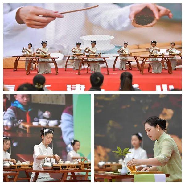 猫山富硒茶采（仙寓山富硒野茶）-硒宝网