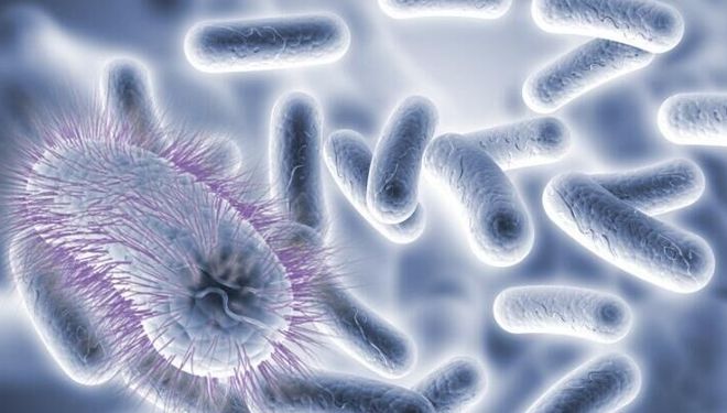 富硒山参姜茶（富硒姜枣茶的功效）-硒宝网