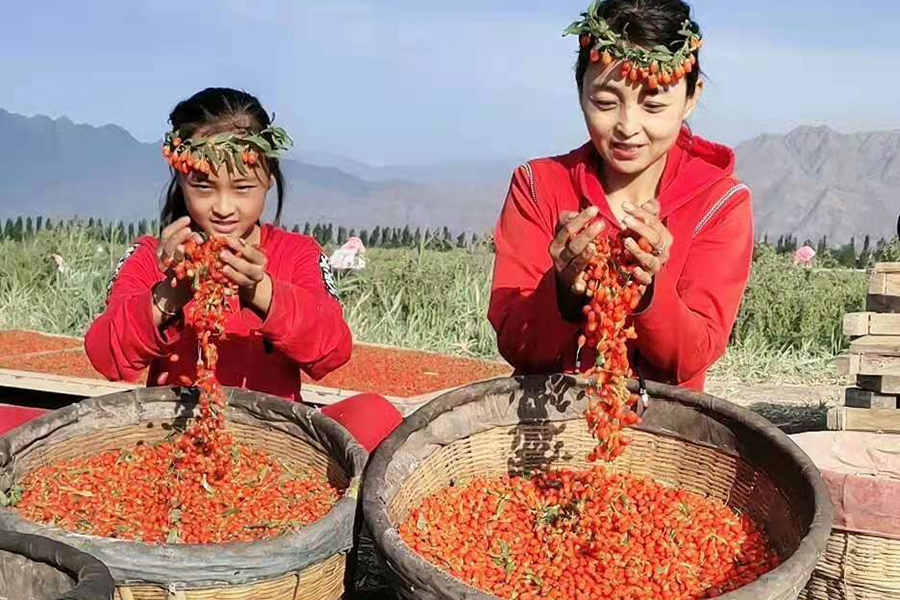 卖富硒茶主播(富硒茶杯骗局)-硒宝网