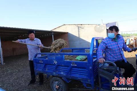 内蒙古富硒茶（内蒙古富硒土壤分布图）-硒宝网