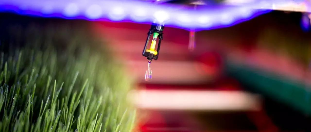 喝富硒大麦茶(喝大麦茶富硒会胖吗)-硒宝网